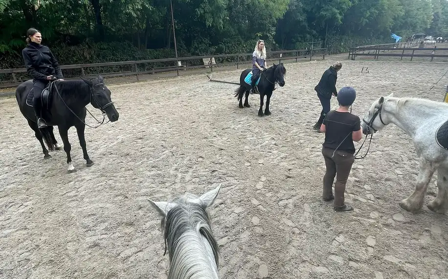 Celodenní program s koňmi v Jízdárně Hloubětín