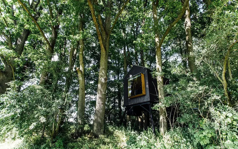 Kouzelný treehouse i sudová sauna až pro 4 osoby
