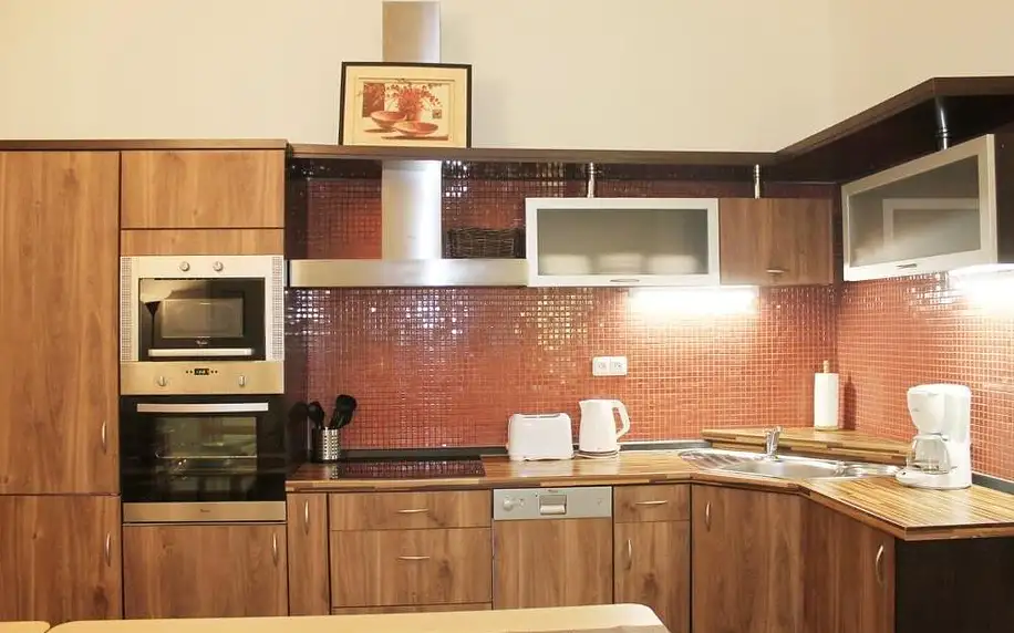 Praha: Modern Apartment Ve Smečkách 28 s možností vířivky na pokoji