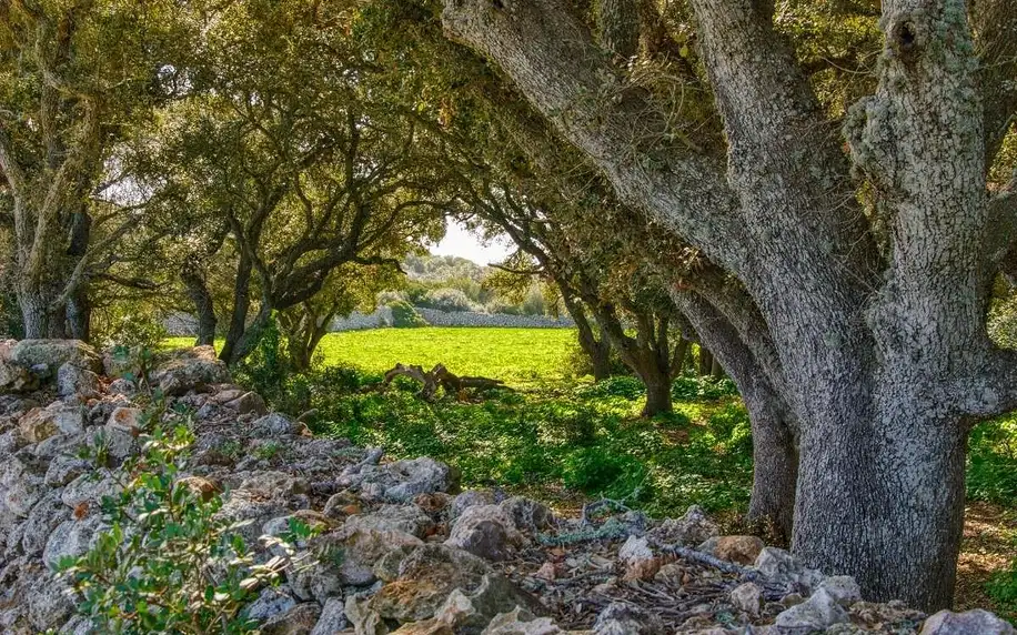 Pěšky kolem Menorcy podruhé, MENORCA