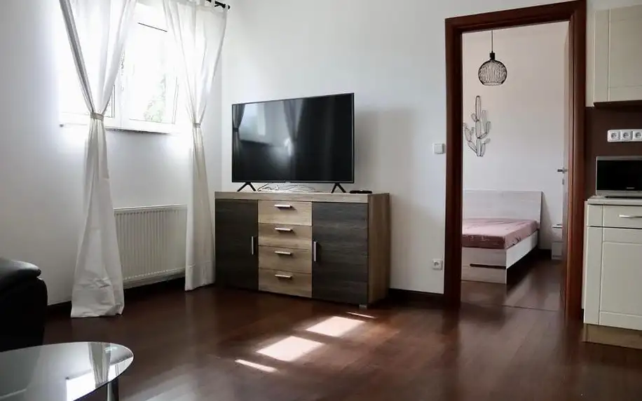 Karlovy Vary: Spa Moser apartments s možností vířivky na pokoji