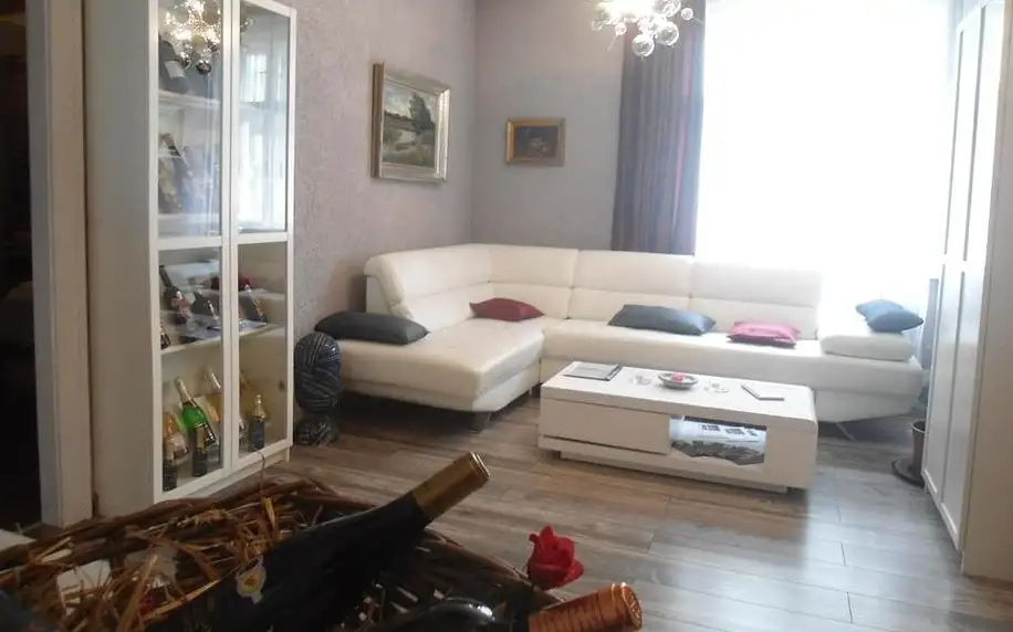 Ostrava: Luxusni Apartmany Stodolni s možností vířivky na pokoji