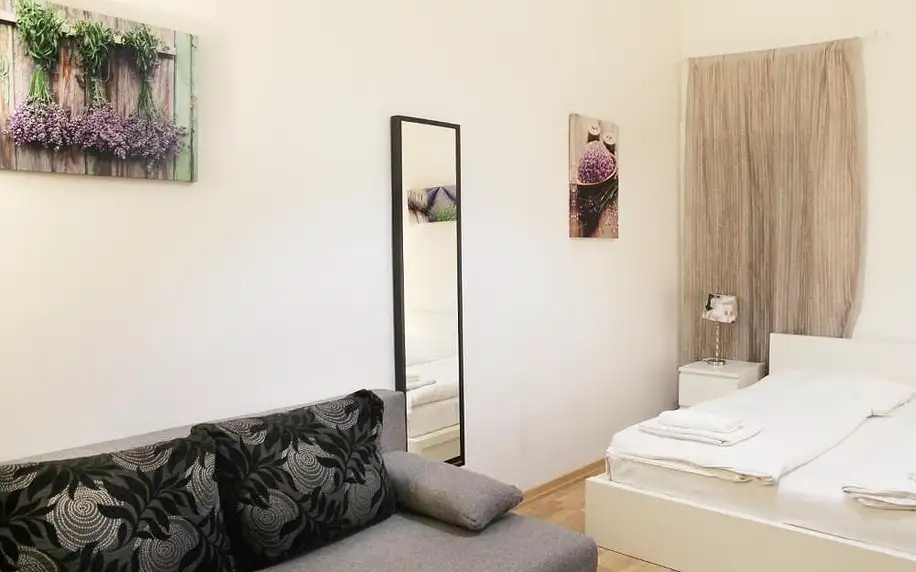Praha: Modern Apartment Ve Smečkách 28 s možností vířivky na pokoji