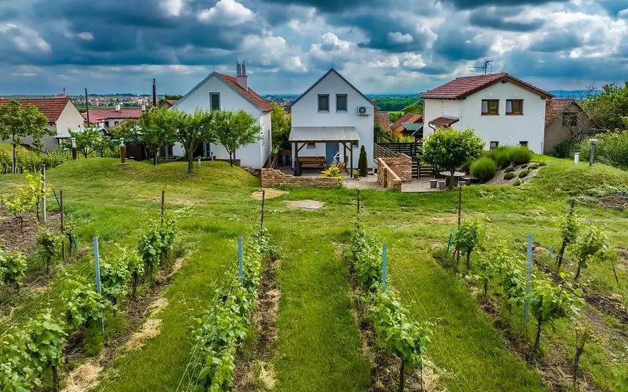 Jihomoravský kraj: Vinný sklep Vinoza Velké Bílovice Pod Vinicí
