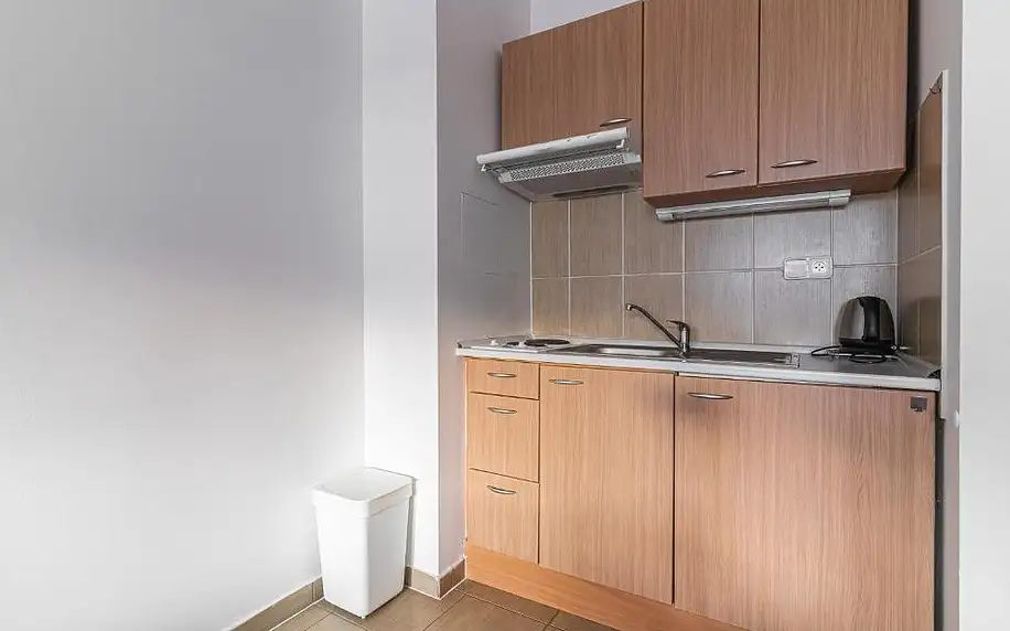 Moninec: Apartmán A5 pro 3 osoby - Monínec - celoročně s možností vířivky na pokoji