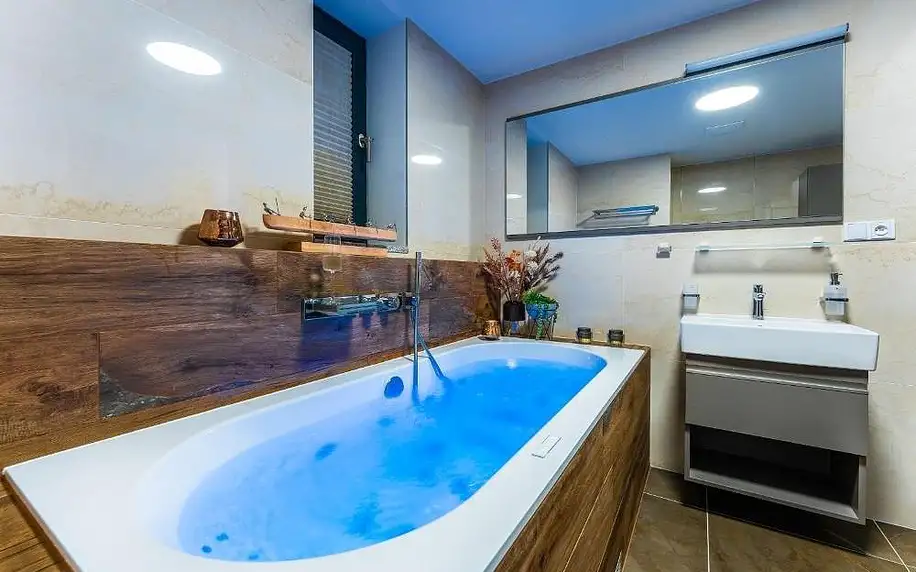 Lipno nad Vltavou: Apartament I313 Molo Lipno with private wellness s možností vířivky na pokoji