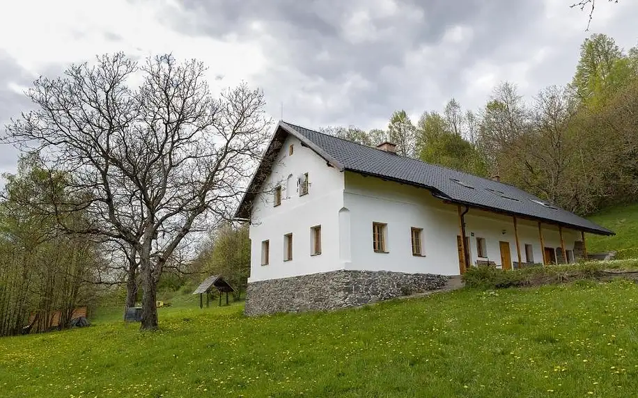 Vernířovice: Chata Hermann - Vernířovice s možností vířivky na pokoji