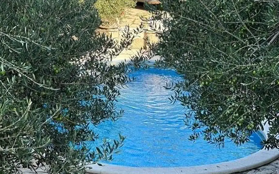 Villa Ruža s bazénem, Severní Dalmácie