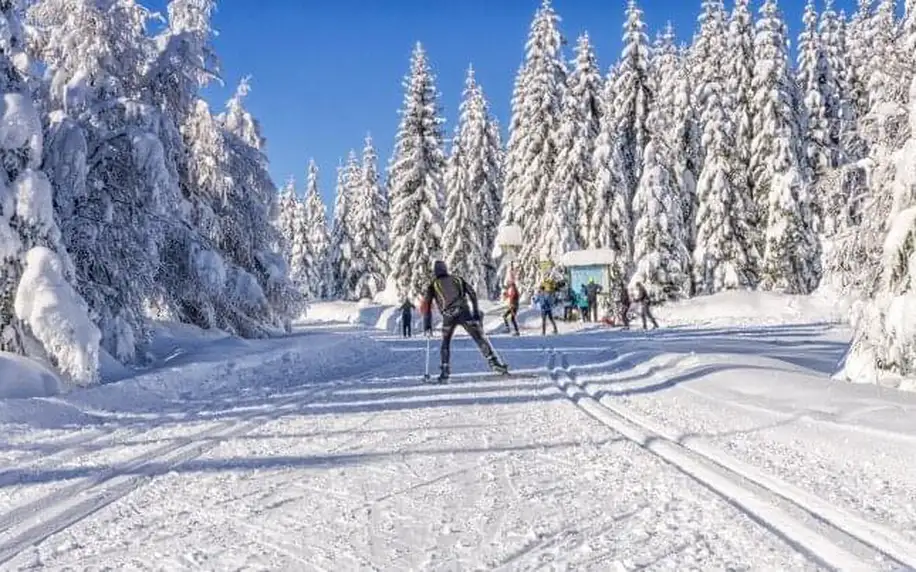 Polsko u hranic: Krkonoše blízko lanovky na Sněžku v Hotelu Tarasy Wang *** s polopenzí a neomezeným wellness