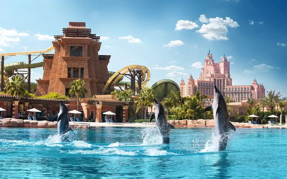 Atlantis the Palm, Dubaj, Dvoulůžkový pokoj Ocean Deluxe s manželskou postelí King, letecky, plná penze