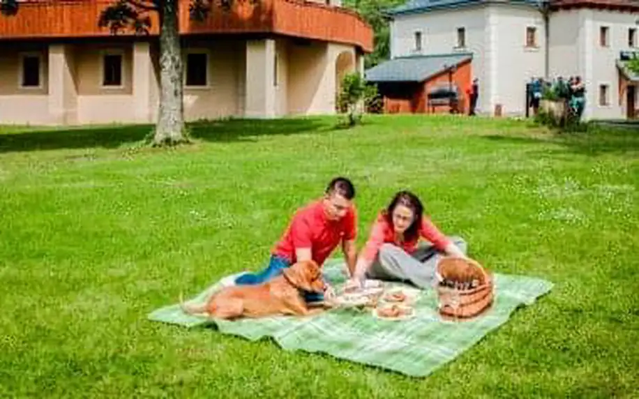 Piknik na Hrádku