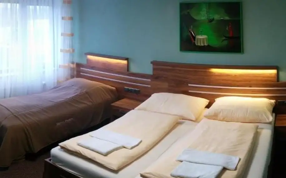 Jižní Morava: Hotel Panon