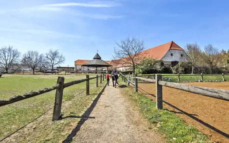 Farma u Znojma: pobyt se stravou i projížďka na koni