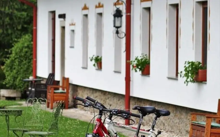 Jižní Čechy nedaleko Českého Krumlova v Penzionu Hájenka hraběte Buquoye se snídaňovým košíkem + zapůjčení kol