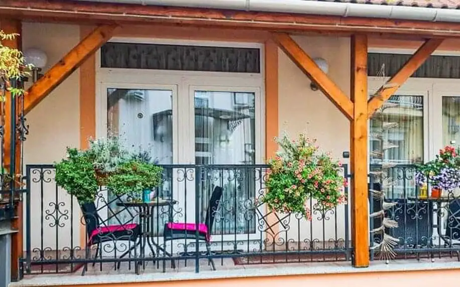 Maďarsko: Historický Győr v Hotelu Isabell **** se saunou, láhví vína a snídaněmi formou bufetu + děti zdarma