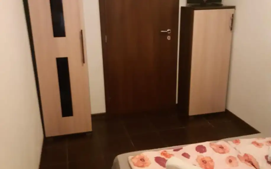 Bešeňová, Nízké Tatry: Apartment Pharamis