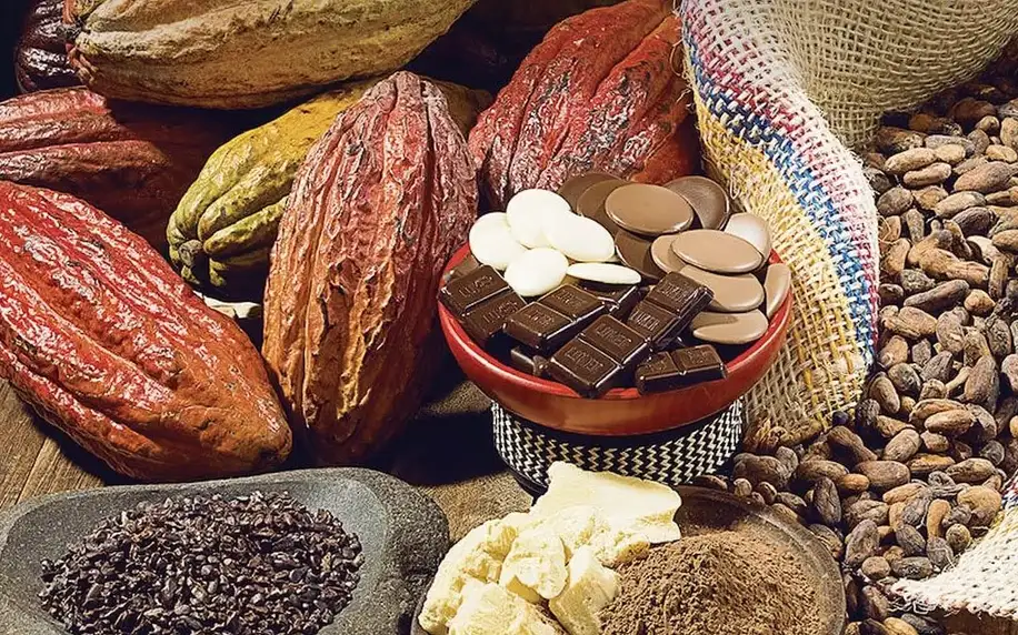 Kurzy o čokoládě: info o pěstování, výrobě i degustace