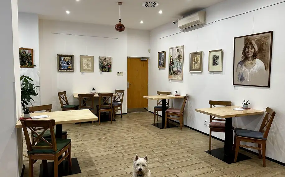 Otevřený voucher: až 500 Kč do dog friendly kavárny