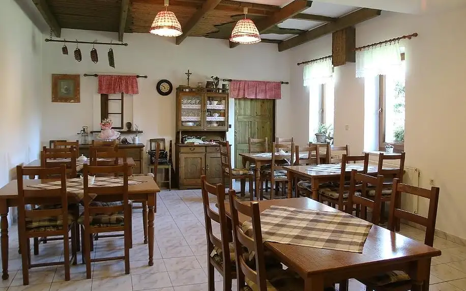 Velké Bílovice, Jihomoravský kraj: Penzion a restaurace U Hroznu