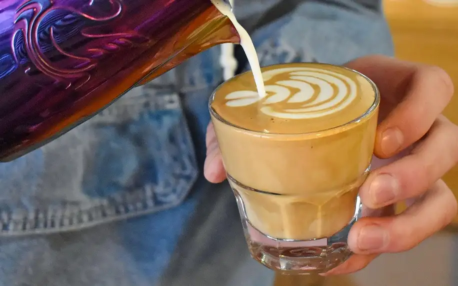 Kurz domácí přípravy kávy či latte art v Café Alegre