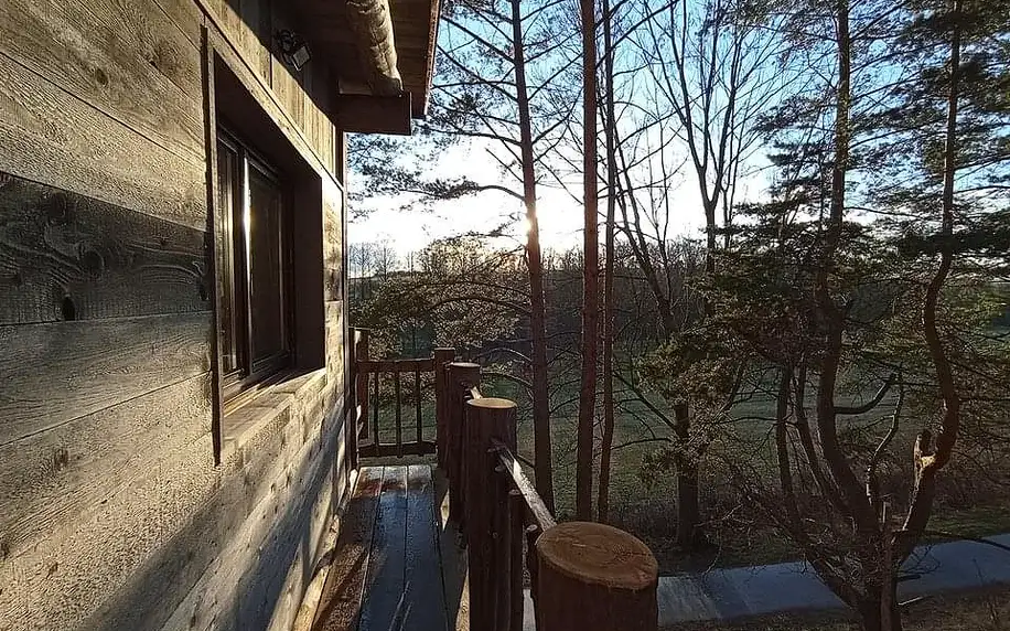 Unikátní pobyt se snídaní v komfortním Treehouse Sokolí v korunách borového lesa u Třebíče pro 2 osoby
