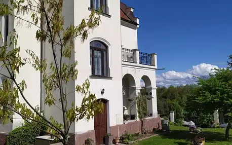 Lázně Bechyně, Jihočeský kraj: Villa Liduška s kavárnou