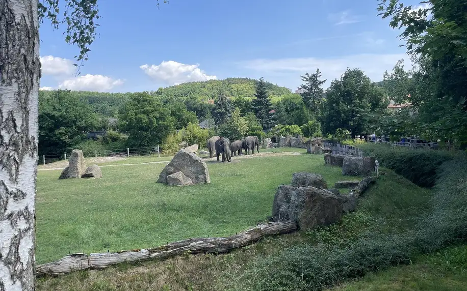 Vstupenka do pražské ZOO s online audioprůvodcem