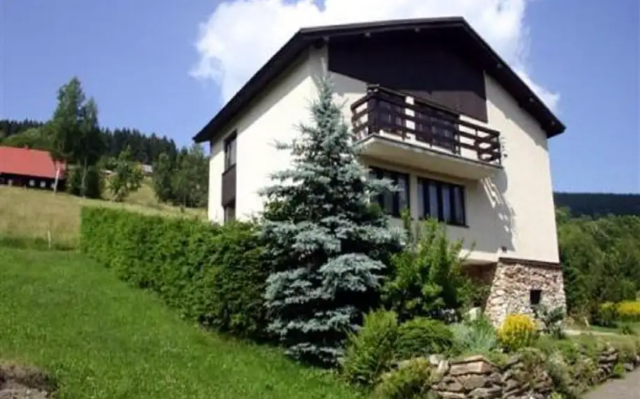 Královehradecký kraj: Holiday home in Pec pod Snezkou 2156