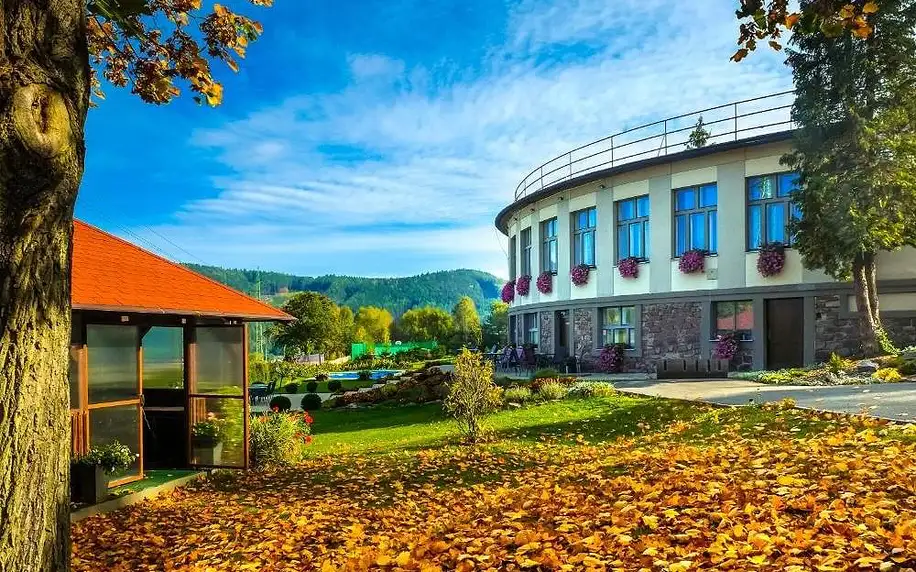 Střední Čechy: Hotel Ermi