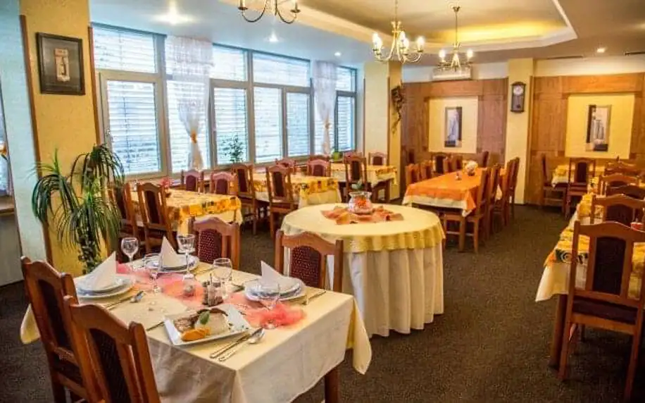 Jižní Morava: Hodonín v Hotelu Panon *** s polopenzí a bohatým balíčkem slev na koupaliště, zoo i do muzeí