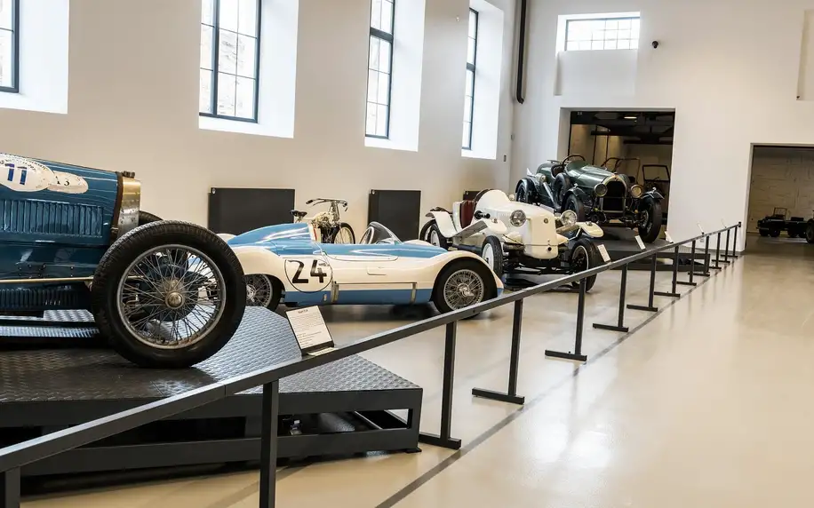 Vstupné do Automoto Musea Lučany pro dospělého