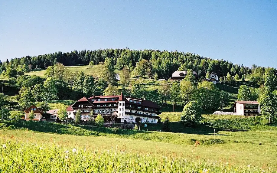 Rakouské Alpy: polopenze, wellness i 2 děti zdarma