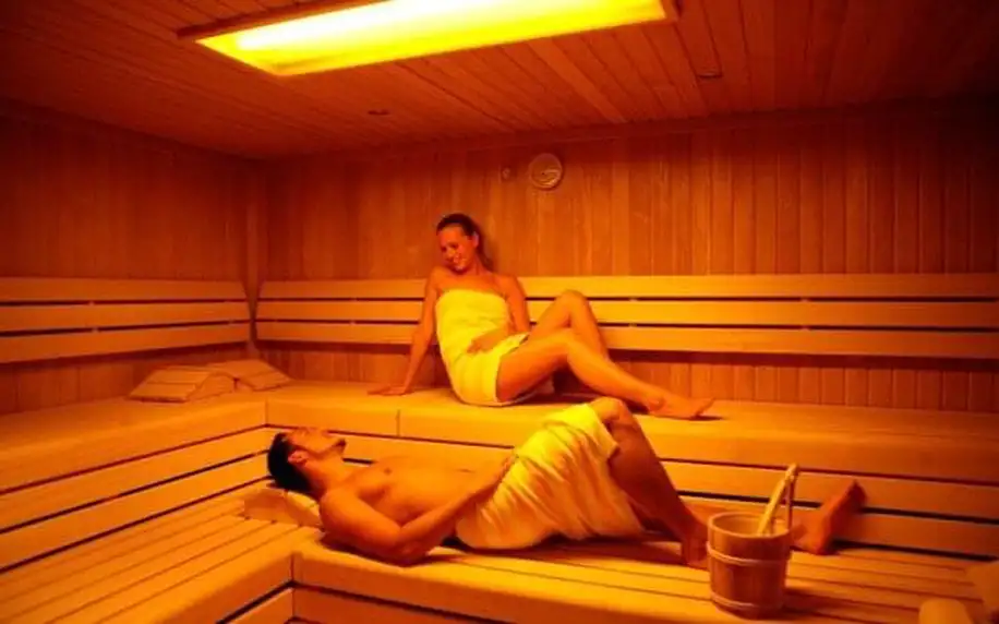 Rakousko nedaleko Vídně v Hotelu Wienerwaldhof **** s polopenzí a wellness centrem (vnitřní bazén, 2 sauny)