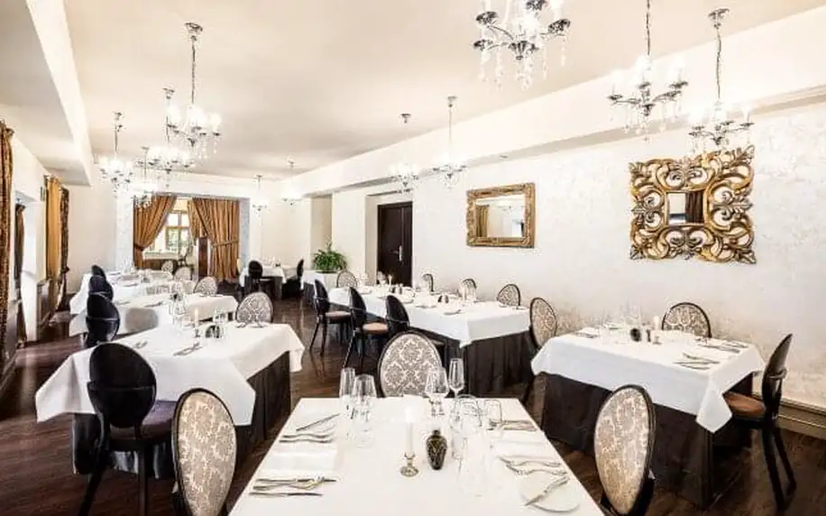Pobyt přímo v historickém centru Brna: Luxusní Hotel Barceló Palace ***** se snídaní/polopenzí + fitness