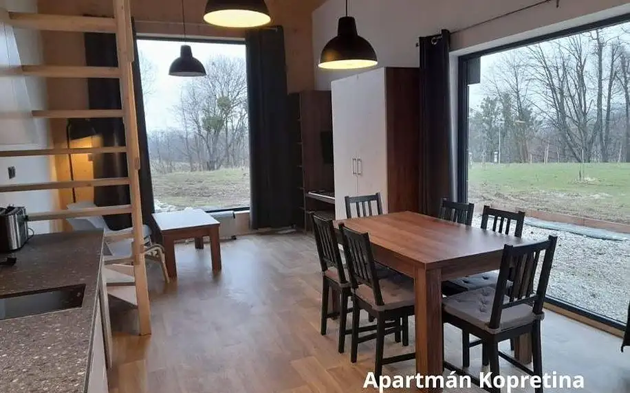 Moravskoslezský kraj: Apartmány Štramberk