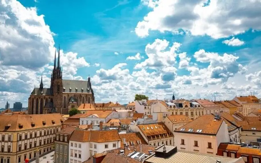 Pobyt u zámku v Hotelu Lysice *** s polopenzí a každodenním vstupem do wellness (vířivka, sauny) + láhev vína