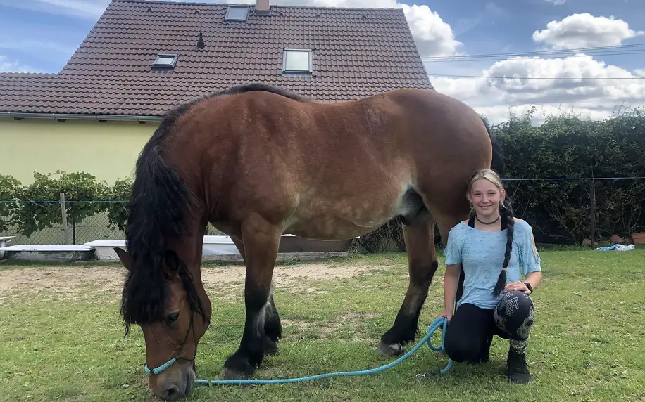 Zvířecí farma, chovná stanice psů i jízda na ponících