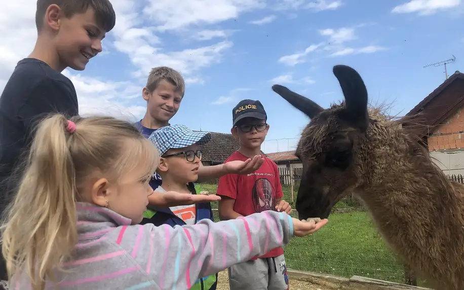 Zážitkový balíček na farmě vč. lamatrekingu