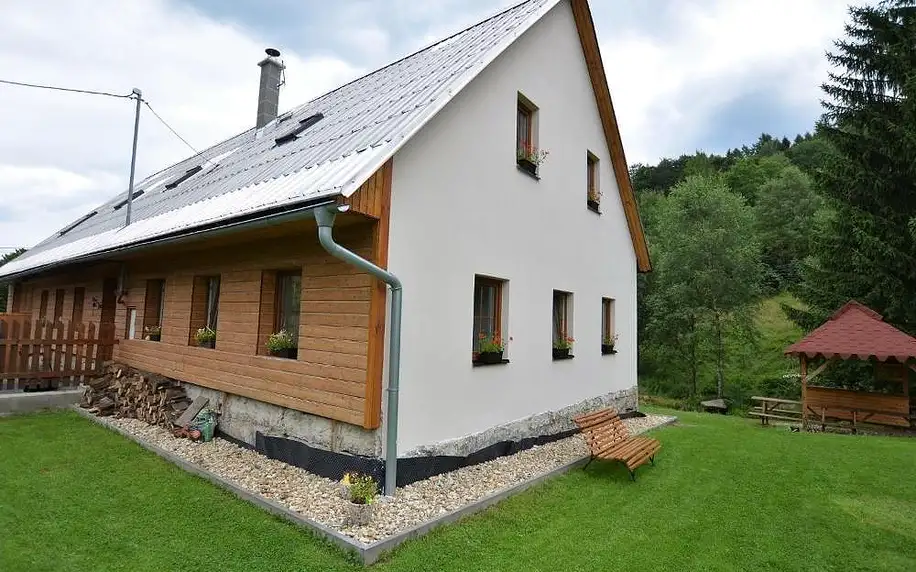 Liberecký kraj: holiday home with sauna and billiards ski slope