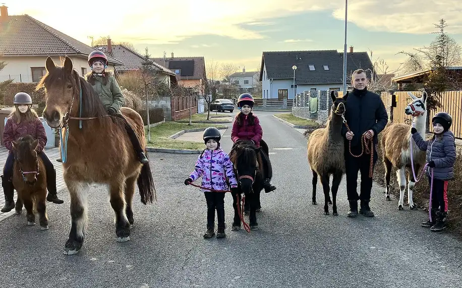 Zážitkový balíček na farmě vč. lamatrekingu