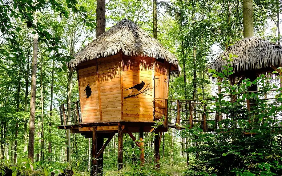 Sojčí hnízdo: vyhlídkový posed v lesích u Brna