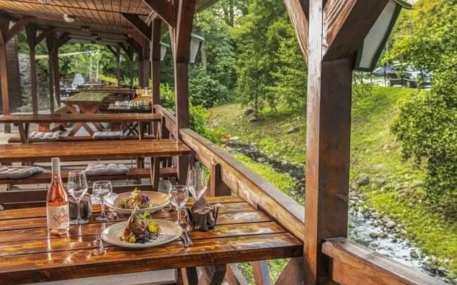 Pobyt v přírodě u města Visegrád v Patak Park Hotelu s neomezeným wellness (vířivka, sauna) a polopenzí