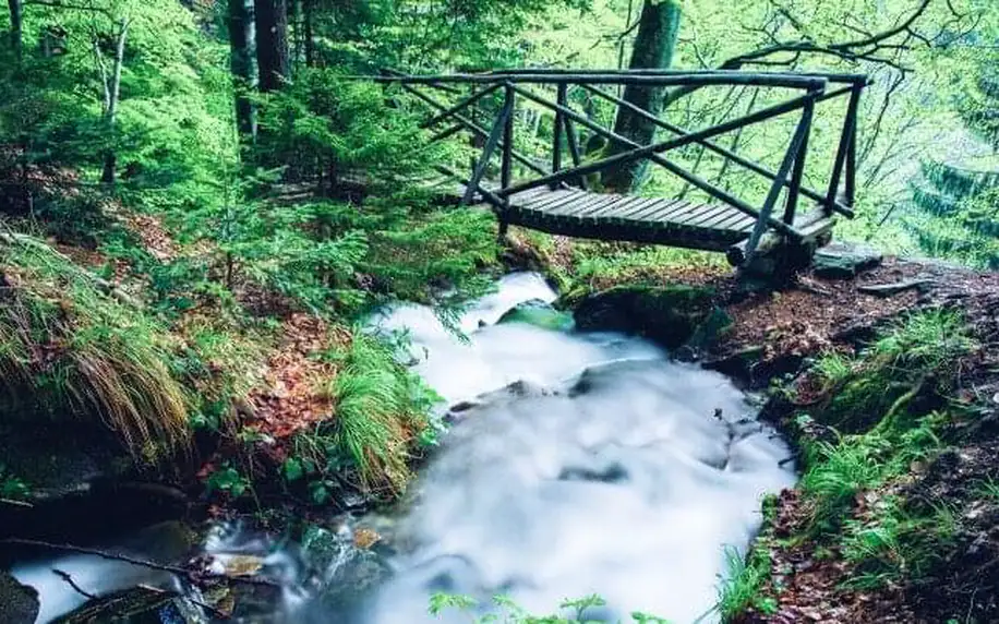 Slovinsko ve Wellness & Spa Hotelu Bolfenk **** s polopenzí, neomezeným vstupem do bazénu a welcome drinkem