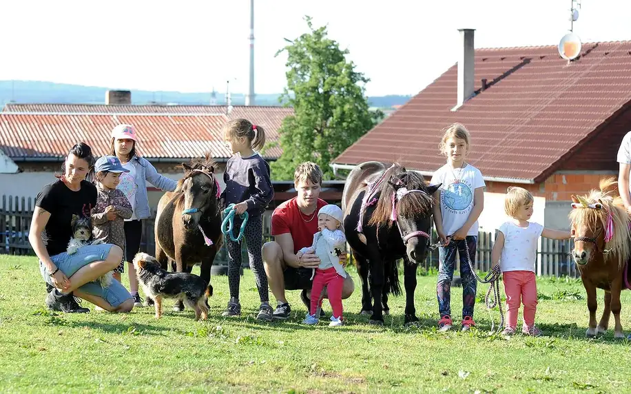 Zvířecí farma, chovná stanice psů i jízda na ponících