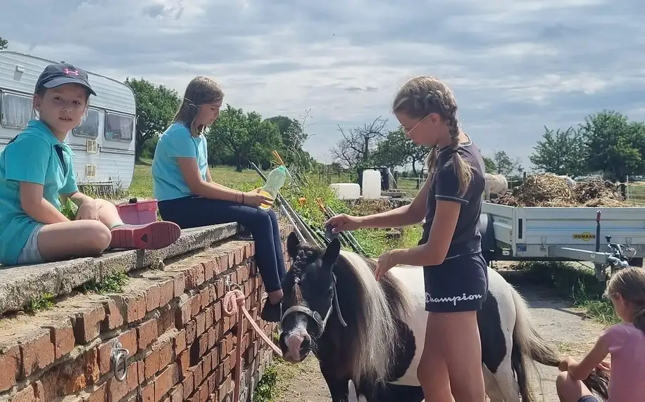Příměstský dětský tábor s koňmi v červenci