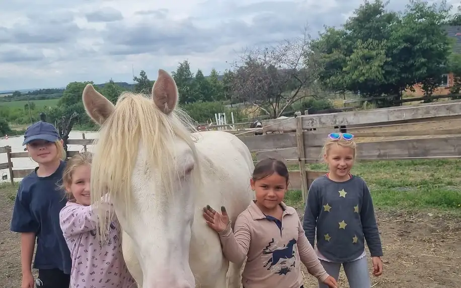 Příměstský dětský tábor s koňmi v červenci