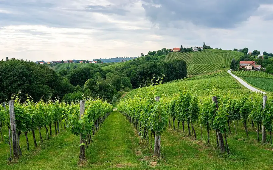 Hotel v lázeňském komplexu: termální bazény, snídaně