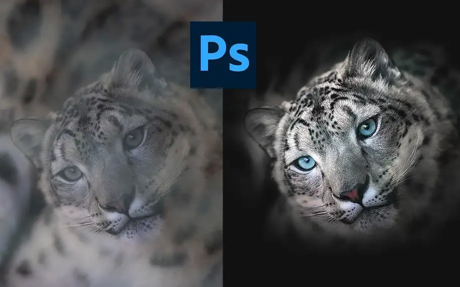Mistrem photoshopu ve třech online lekcích