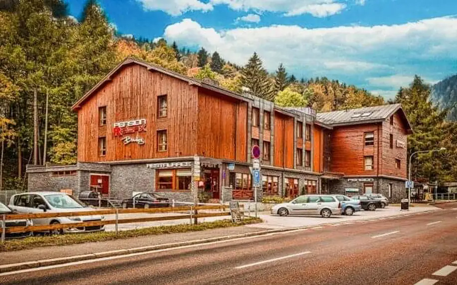 Krkonoše: Pec pod Sněžkou v Pensionu Relax s polopenzí a privátním wellness (sauna, vířivka) + welcome drink