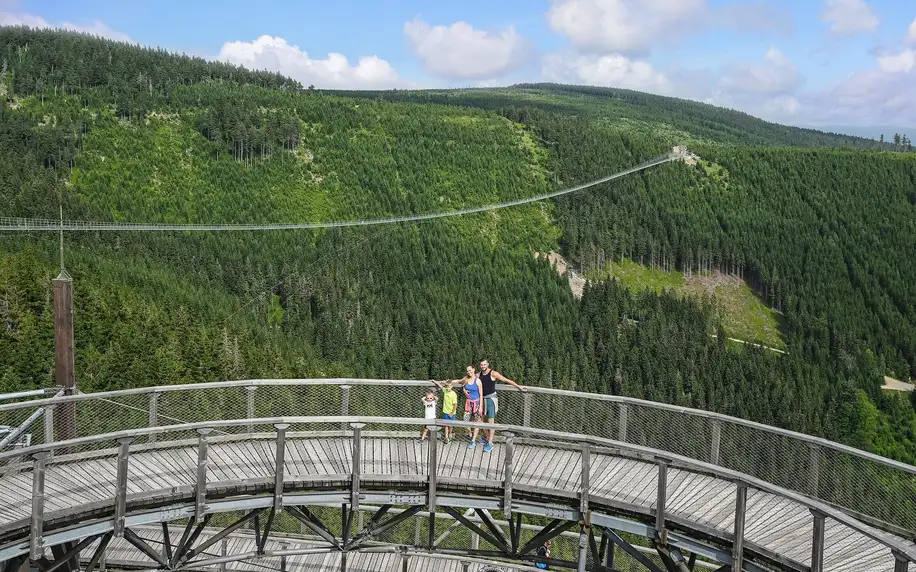 Vstup na Sky Bridge 721 i Stezku v oblacích: mimo léto